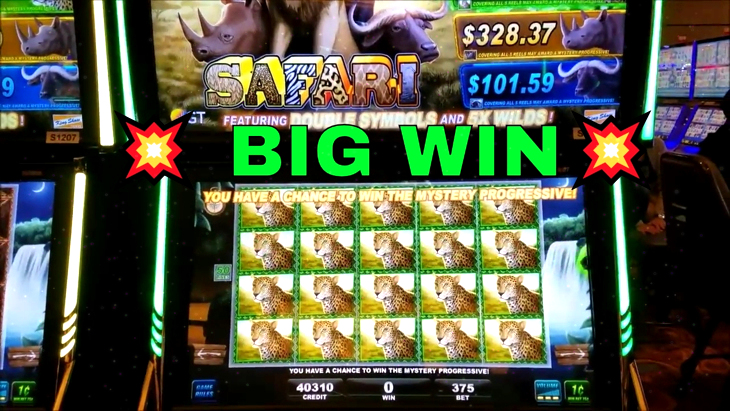 Big 5 Safari Slot