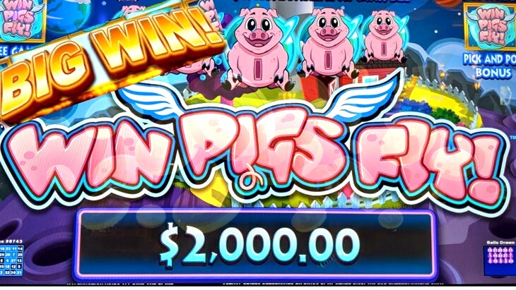 When Pigs Fly Slots?